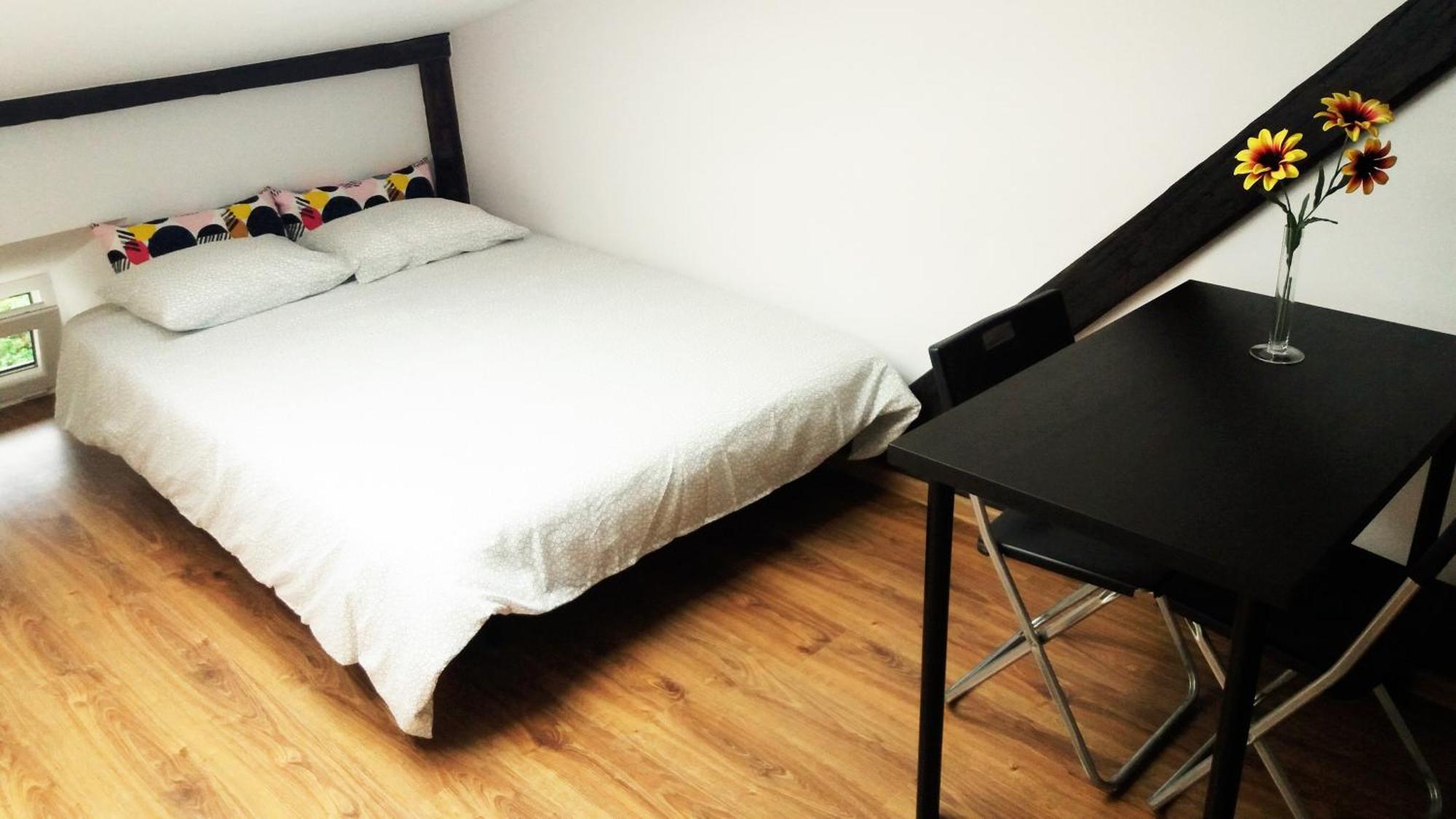 Nice Attic Studio Close To Old Town Air Conditioning - Klimatyzacja 克拉科夫 外观 照片